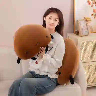 45cm65cm