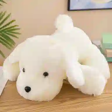 25cm35cm40cm50cm55cm60cm