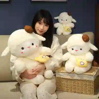 25cm35cm45cm