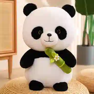 20cm30cm40cm