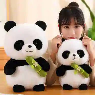 20cm30cm40cm