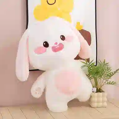 30cm40cm55cm