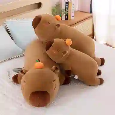 50cm60cm80cm100cm