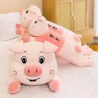 80cm100cm120cm140cm