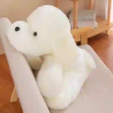 25cm35cm40cm50cm55cm60cm
