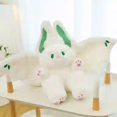 35cm50cm