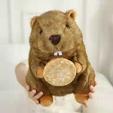 18cm25cm35cm