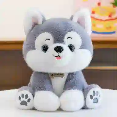22cm30cm40cm