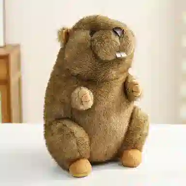 18cm25cm35cm