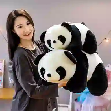 25cm30cm40cm50cm