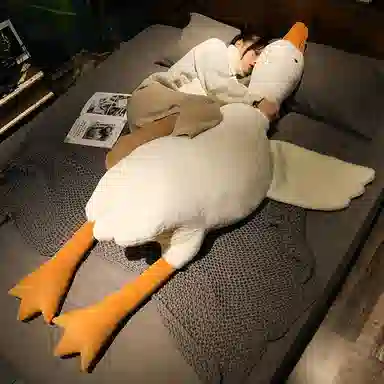 50cm90cm130cm160cm190cm