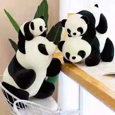 25cm30cm40cm50cm
