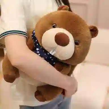22cm30cm45cm