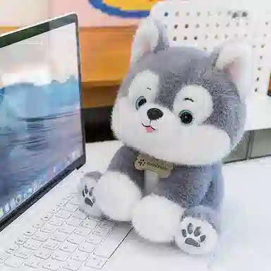 22cm30cm40cm