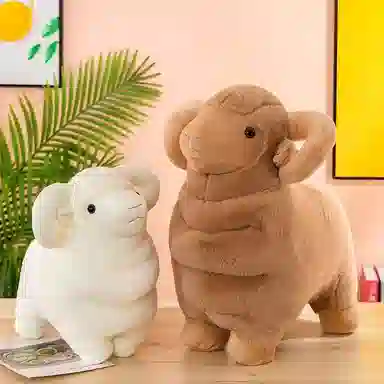 35cm50cm60cm