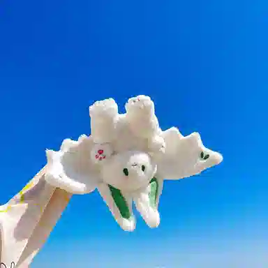 35cm50cm