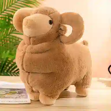 35cm50cm60cm