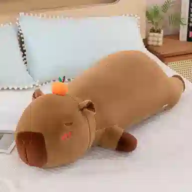 50cm60cm80cm100cm