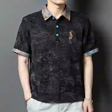 SLLAVIF Polo