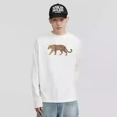 DAND T