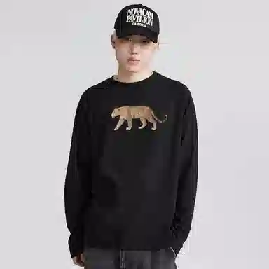 DAND T