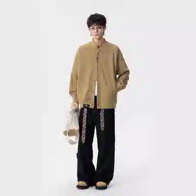 ZIAREL ins