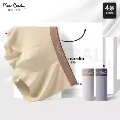 PIERRE CARDIN 10A