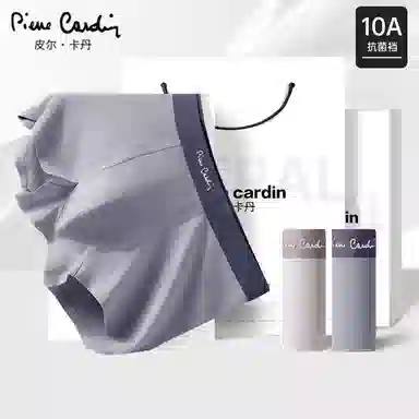 PIERRE CARDIN 10A