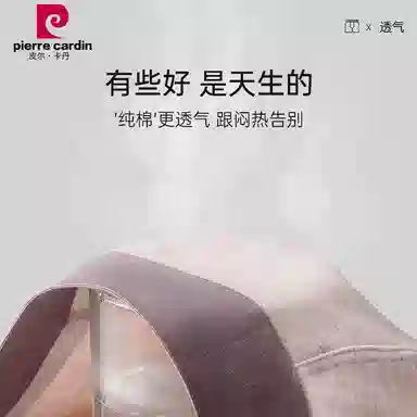 PIERRE CARDIN A0 10A3