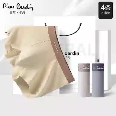 PIERRE CARDIN 10A