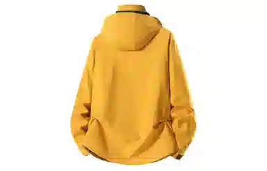FALIAMS