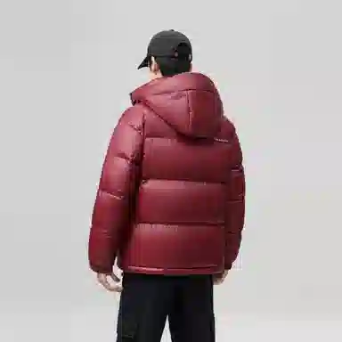 鸭鸭 时尚机能风工装宽松保暖百搭御寒防风连帽羽绒服 男女同款