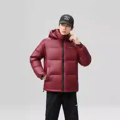 鸭鸭 时尚机能风工装宽松保暖百搭御寒防风连帽羽绒服 男女同款