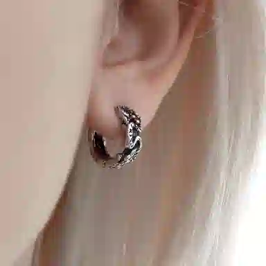 清脆小溪 创意 蛇形生肖款高级感本命年潮流搭配酷炫#好运 合金 耳环 女款