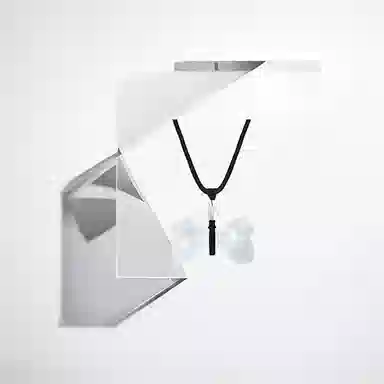 ins