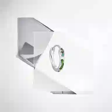 ins S925