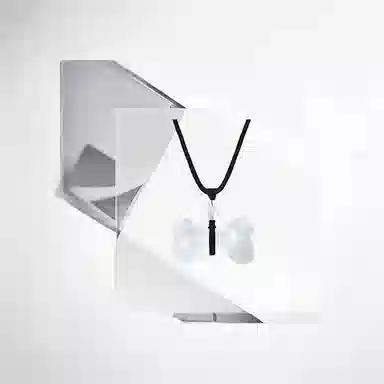 ins