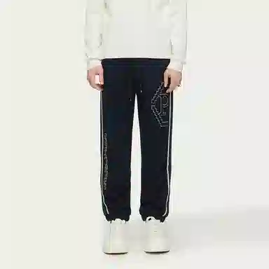 PP PIERRE PIERUCCI LOGO