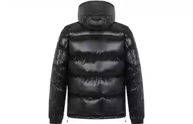 PP PIERRE PIERUCCI LOGO