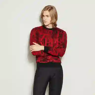 PP PIERRE PIERUCCI LOGO