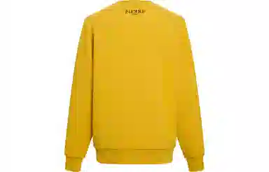 PP PIERRE PIERUCCI T