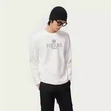 PP PIERRE PIERUCCI LOGOT