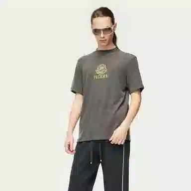 PP PIERRE PIERUCCI LOGOT