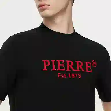 PP PIERRE PIERUCCI LOGOT