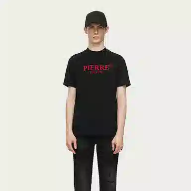 PP PIERRE PIERUCCI LOGOT