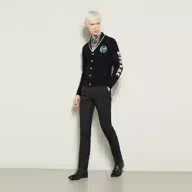 PP PIERRE PIERUCCI LOGOV