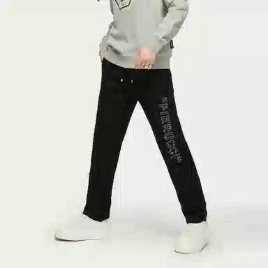 PP PIERRE PIERUCCI LOGO