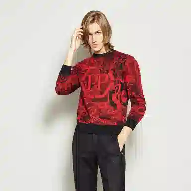 PP PIERRE PIERUCCI LOGO