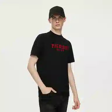 PP PIERRE PIERUCCI LOGOT