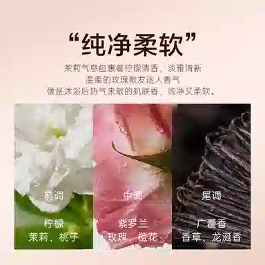 019 EDP 50ml